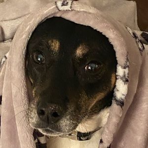 Meet your Posher, Anne